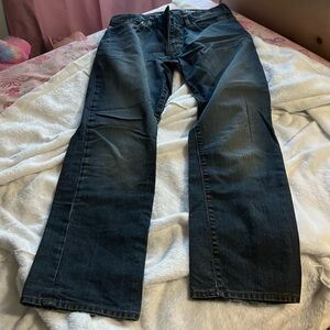 Gap Premium Jeans
